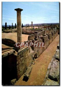 Modern Postcard Costa Brava Ampurias Roman Ruinas