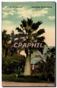 Portugal - Lisbon - Lisbon - Jardin Botanico - Palm - Old Postcard