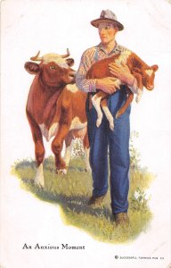 Farmer Cow Calf An Anxious Moment Farming 1910c postcard