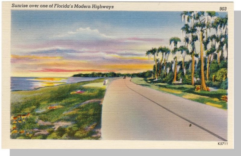 Beautiful Florida/FL Postcard, Sunrise/Highway, Near Mint!