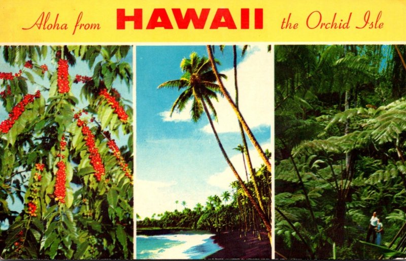 Hawaii Aloha From The Orchid Isle 1972