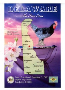 DE - Delaware Map & Highlights   (continental size)