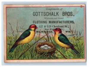 1870s-80s In German & English Gottschalk Bros. Clothing Mfg. Colorful Birds P157