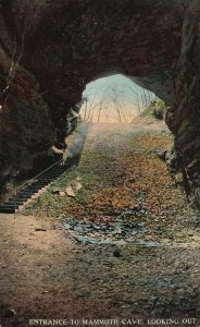 Vintage Postcard Entrance To Mammoth Cave National Park Looking Out Kentucky KY