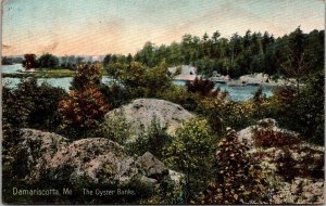 View of the Oyster Banks, Damariscotta ME c1910 Vintage Postcard Q76