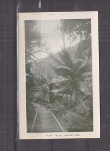 VICTORIA, HEALESVILLE, MYERS TRACK, c1920 real photo ppc., unused.