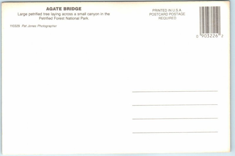 Postcard - Agate Bridge, Petrified Forest National Park - Arizona