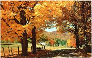 Postcard New England Scenic Colorful Attraction Country Road Bromley And Company