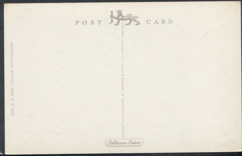 Norfolk Postcard - The Castle, Norwich     RS11383 