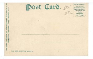 NY - Niagara Falls. Goat Island Bridge & Rapids ca 1905