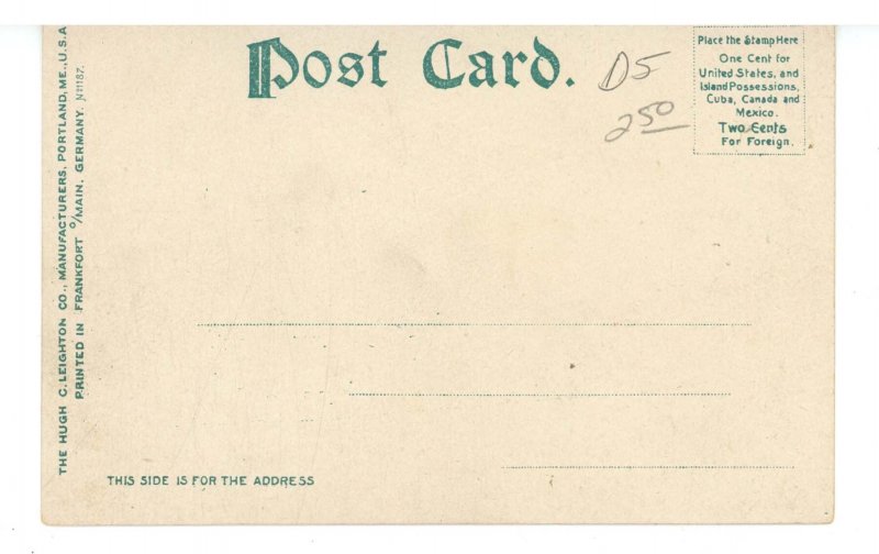 NY - Niagara Falls. Goat Island Bridge & Rapids ca 1905