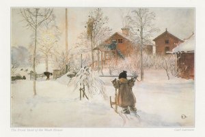 Carl Larsson The Front Yard & Wash House Victorian Painting Postcard