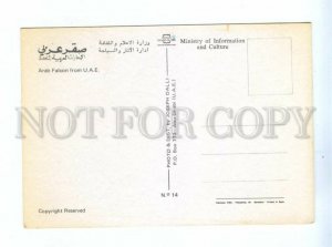 239428 United Arab Emirates Arab Falcon old postcard