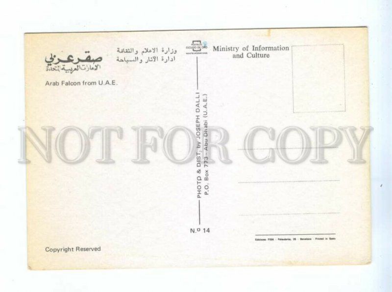 239428 United Arab Emirates Arab Falcon old postcard