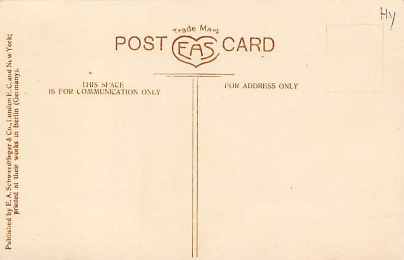 Cat Cats, Kitten Unused 