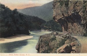 PC NEW ZEALAND, BLUFF, BULLER GORGE, Vintage Postcard (b43883)