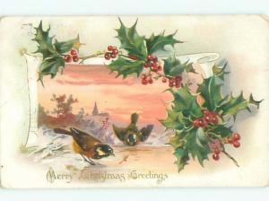 Divided-Back BIRDS SCENE Pretty Postcard AA8797