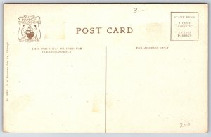 Evanston Illinois~Public Library Bldg Front View~VO Hammon Pub Vintage Postcard