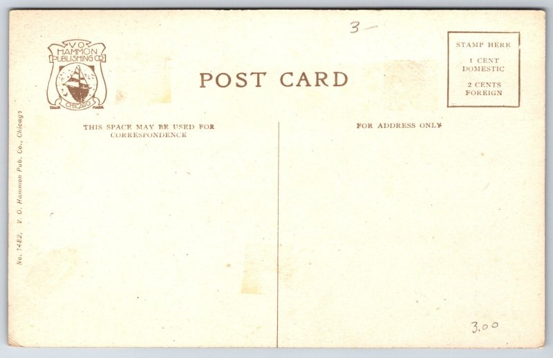 Evanston Illinois~Public Library Bldg Front View~VO Hammon Pub Vintage Postcard