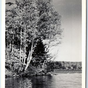 c1940s Webb, Herkimer Co., NY RPPC Second Lake Birch Trees Fulton Old Forge A209