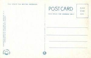 Vintage Postcard Landing A Big-Mouthed Bass Fish In Florida Asheville Post Card