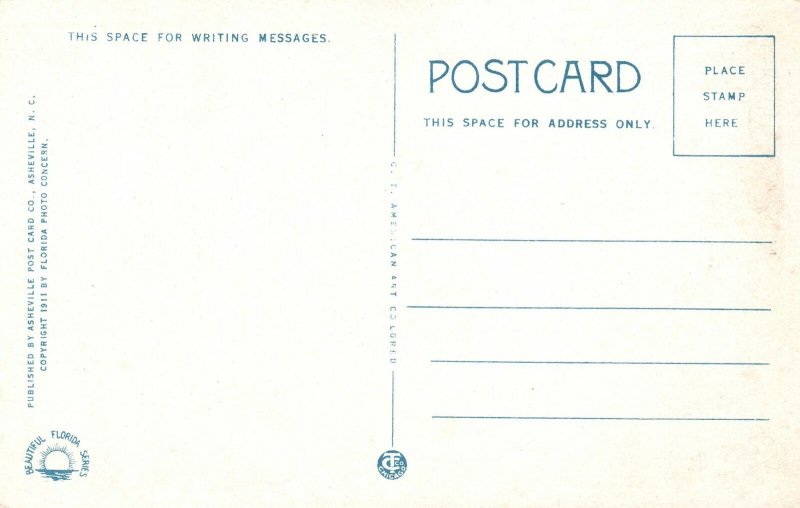 Vintage Postcard Landing A Big-Mouthed Bass Fish In Florida Asheville Post Card