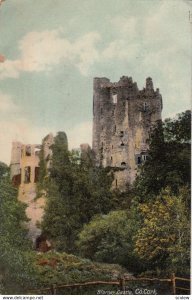 Blarney Castle , Co. Cork , Ireland , 00-10s : Version-2