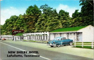 Postcard Shelby Motel in LaFollette, Tennessee~135144