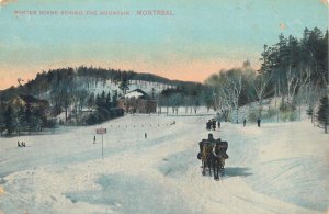 Canada Montreal winter scene behind the mountain horse sledge postcard