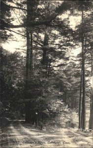 Cornwall Connecticut CT Calhoun's Pines Real Photo Postcard