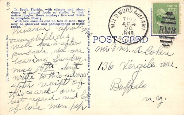 The Monkey Jungle Miami, Florida  