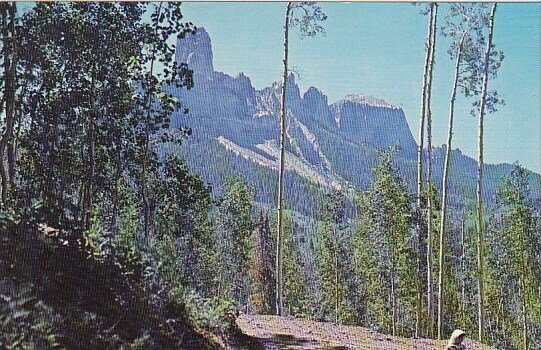 Court House Mountain & Chimney Rock Ouray Colorado