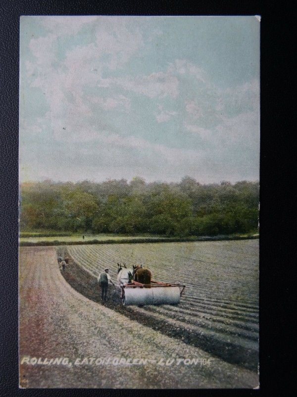 Bedfordshire LUTON Eaton Green SHIRE HORSES ROLLING FIELD Farming Old Postcard