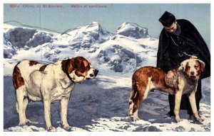 Dog , Saint  Bernard , maitre at Serviteurs