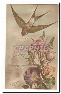 Old Postcard Swallow Spring Remembrance Rose