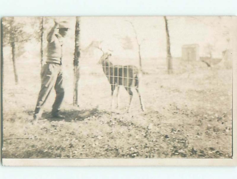 Old rppc ANIMAL SCENE Great Postcard AB1995