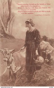 Dairy Cows & Girl , 1900-10s