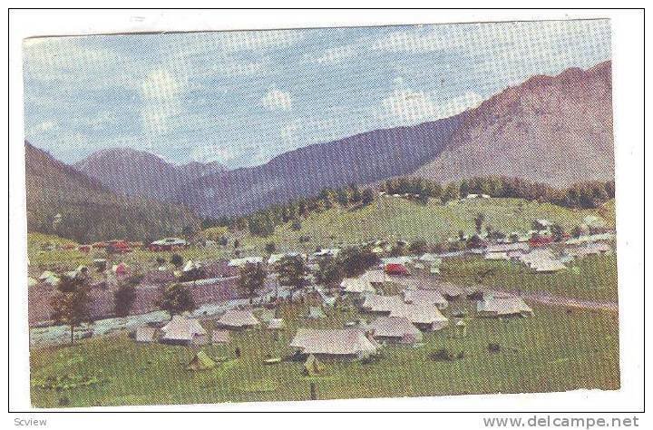 Pahalgam Camping Site-492 , India , 40-60s