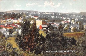 Looking West Liberty Ontario & Western Railroad New York  