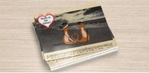 Set of 6 featuring Illustration, Otters in a Romantic Vintage Postcard Scene