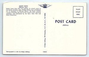 HADLYME, CT Connecticut ~ GILETTE CASTLE c1950s Middlesex County Postcard
