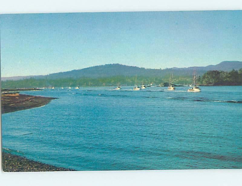 Pre-1980 FISHING FLEET AT SOOKE HARBOR Vancouver Island BC F4411-12