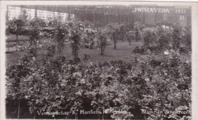 Netherlands Rotterdam Primavera 1933 Flower Show