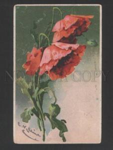 3119291 Charming POPPY by C. KLEIN vintage LITHO colorful PC
