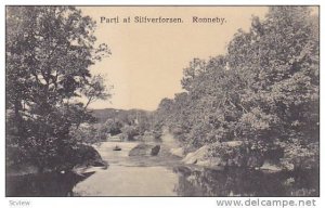 Parti af Silverforsen , Ronneby , Sweden , 00-10s