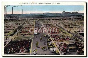 Postcard Scene In Old Stock Yards Kansas City Mo