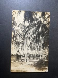 Mint Singapore Postcard Stationery RPPC Palm Trees Native Village Houses Trail