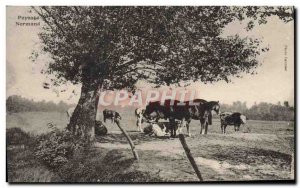 Old Postcard Landscape Norman Cow Horse