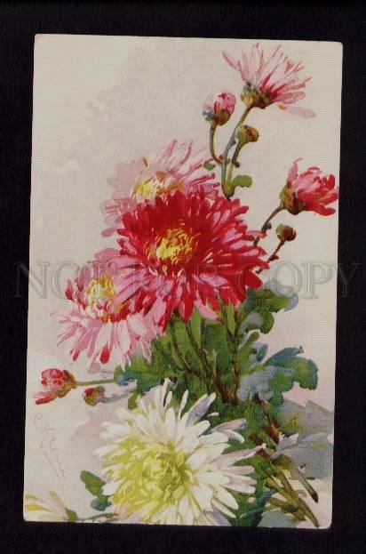 3074543 Bouquet of ASTERS By C. KLEIN vintage GOM 2404 PC