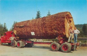 United States Giant Fir Log Truck postcard